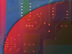 宠物耳螨治疗技巧与药物选择指南